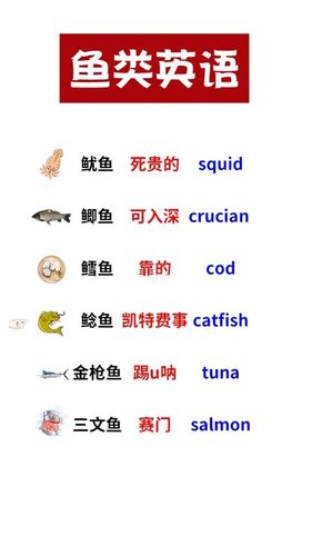 鱼类单词学起来_英语学习_教育_外语教育_英语教育