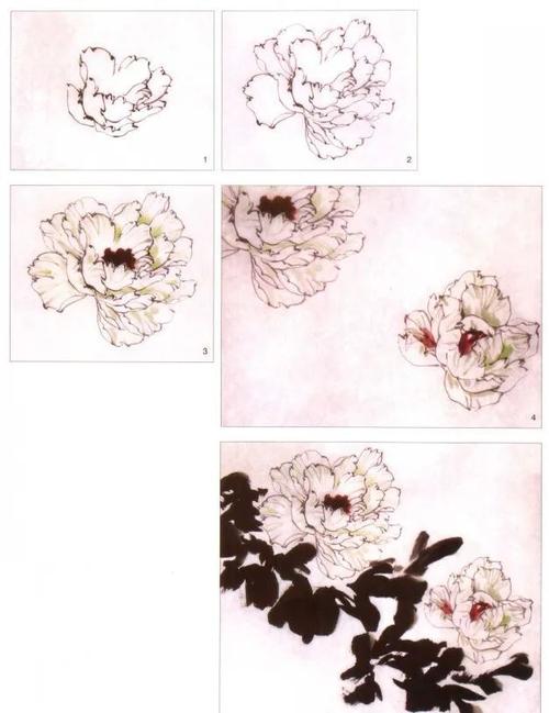 【国画教程】小写意牡丹画法,一学就会!|留白|工笔|花