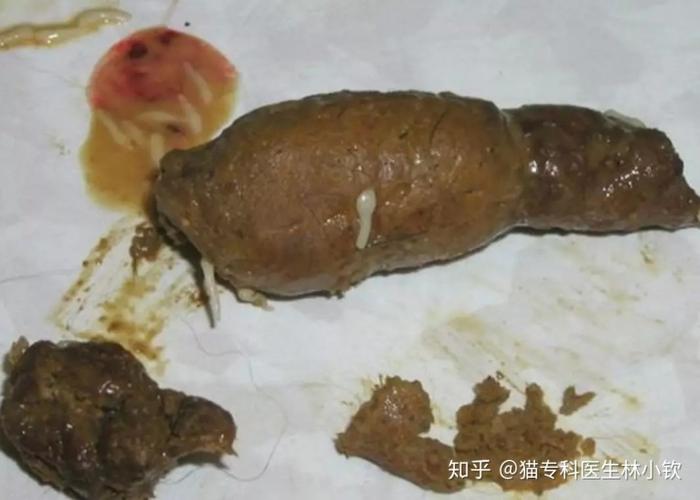 三,绦虫的诊断 以下两种方法都可以,但一般可以通过 症状(问诊)来确诊