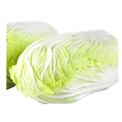 沙洋专区大白菜500g