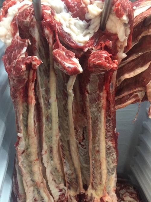 纯上等牛肉,牛肋扇
