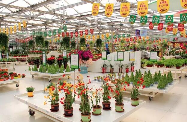 世纪奥桥花卉园艺中心