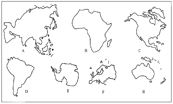 七大洲轮廓图片手抄报 手抄报版面设计图