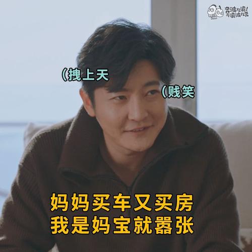 (苏大强版) "苏家大长子,看谁都失望" (苏明哲版) "苏家妈宝男,宠妻不