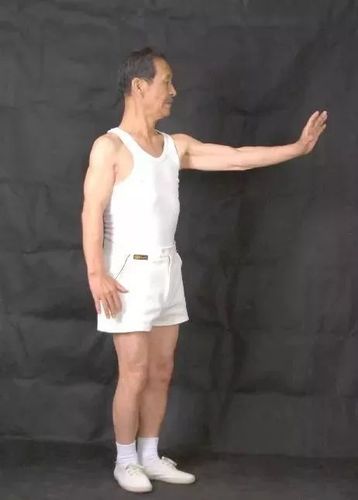 到底什么是含胸拔背,垂肩坠肘和虚领顶劲?