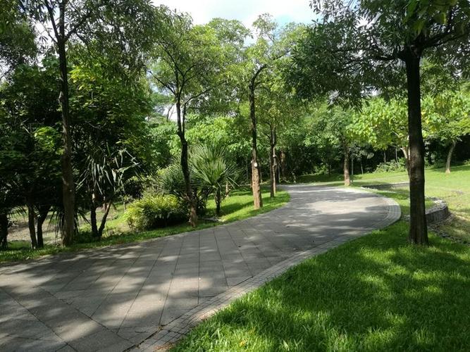 公园林荫道,不晒,有路牌指向向日葵园.