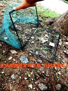 大号诱捕笼扑野鸡黄鼠狼捕猫笼抓猫捉猫笼抓猫笼器捕狗笼