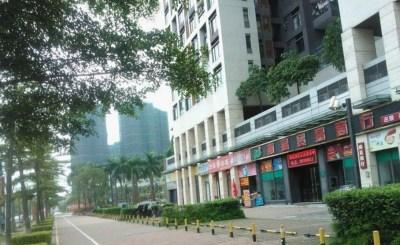 深圳坪山招商花园城周边配套图片