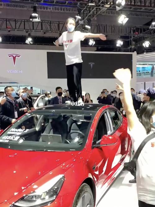 特斯拉刹车失灵_特斯拉怎么样_维权_车展_汽车_汽车