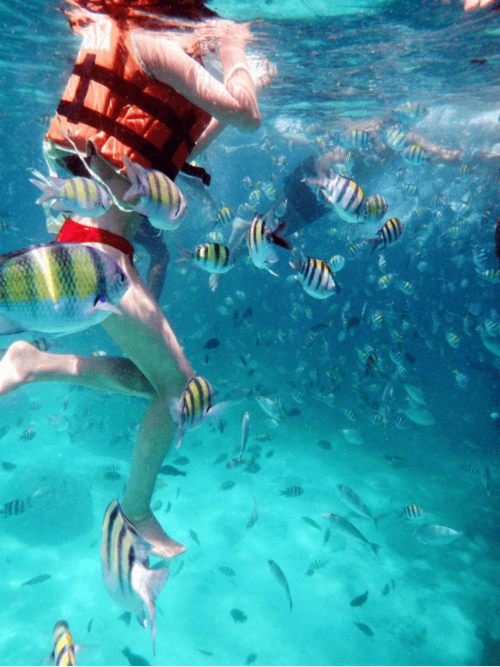 去普吉岛该怎么游玩?普吉岛旅游攻略