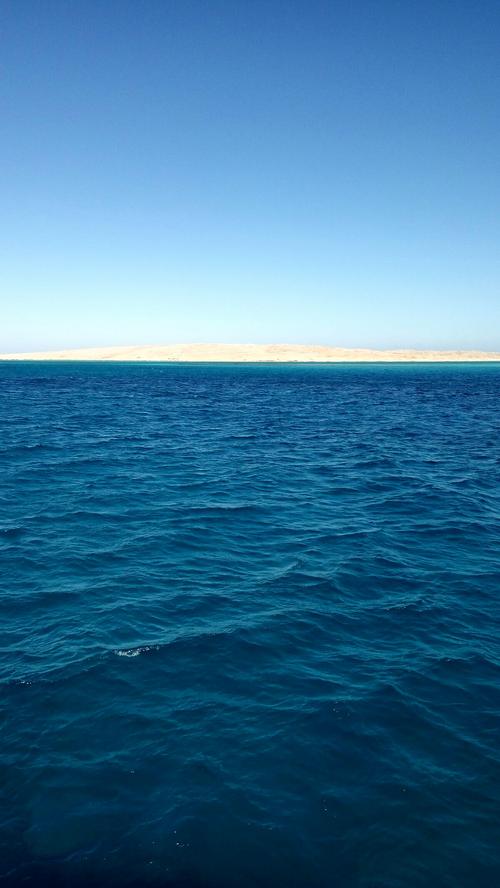 是世界上海水最热,最咸的海,也是最年轻的海.