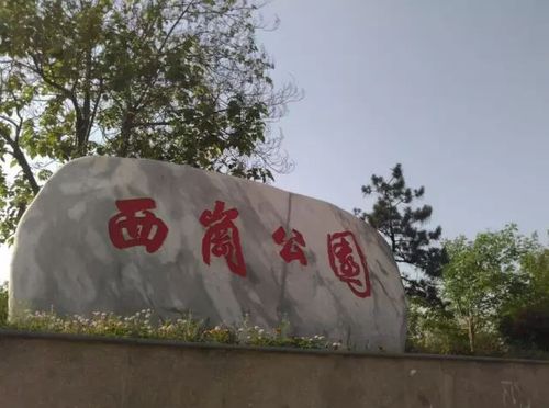 (西岗公园)在这几天里,我不用再跟父母远隔万里.