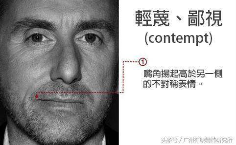 轻蔑不仅是一种情感,同时也是一种表情.