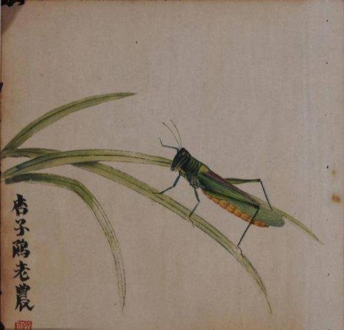 难得一见齐白石精美的工笔草虫册页欣赏