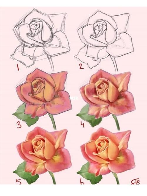 【板绘】简单几步教你画玫瑰花_板绘_玫瑰花_红豆怎么