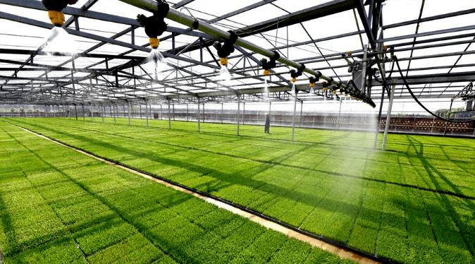 2021年水稻育苗10问10答!