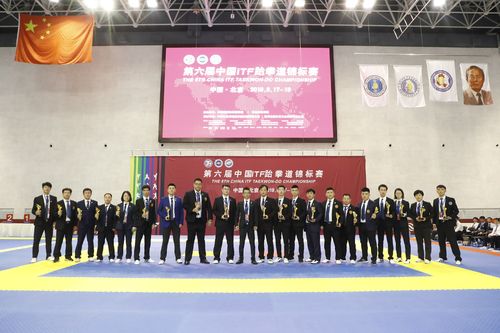 中国国际跆拳道联盟