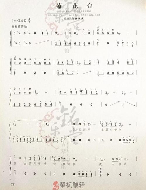 菊花台古筝流行曲曲谱大全