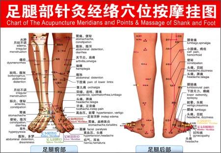 腿部穴位图