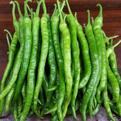 味小仙 二荆条辣椒 新鲜青线椒 尖椒海椒蔬菜 1斤二荆条