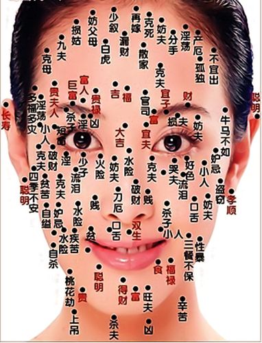 天中:位于发际的正中央,如果是良痣,此部位隆起,气色又好,可得长辈的
