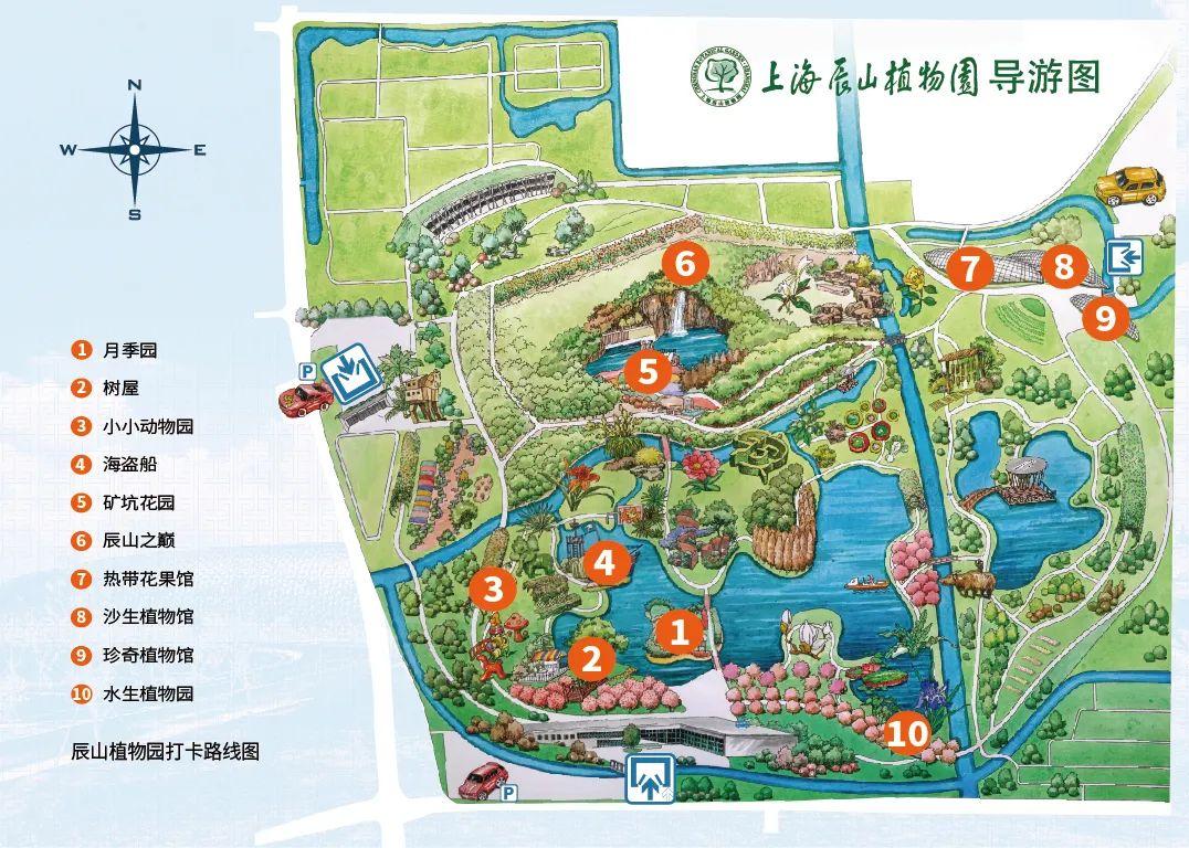 根据植物护照的地图指引 寻找到对应特色区 打卡盖章,观光游园