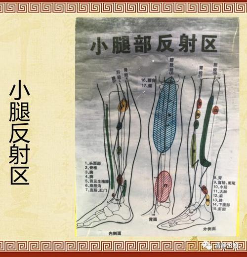 中医保健:全息反射疗法