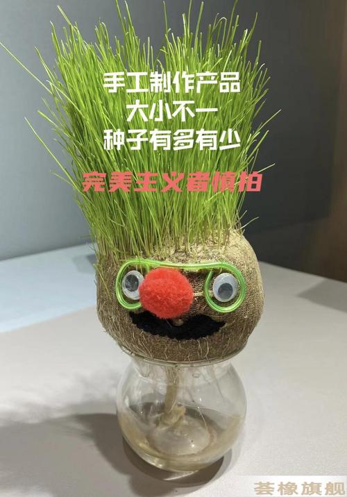 创意草娃娃种植长草栽培摆件迷你花卉手工头上长草盆栽浇水长草的植物