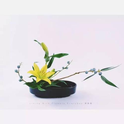 4 6.11|日本小原流插花之立式与倾斜式