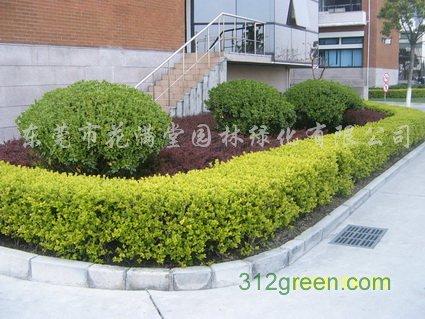 供应工厂绿化设计,工厂绿化施工,工厂绿化养护