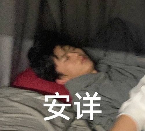 求求笨蛋沙一汀汀汀的表情包