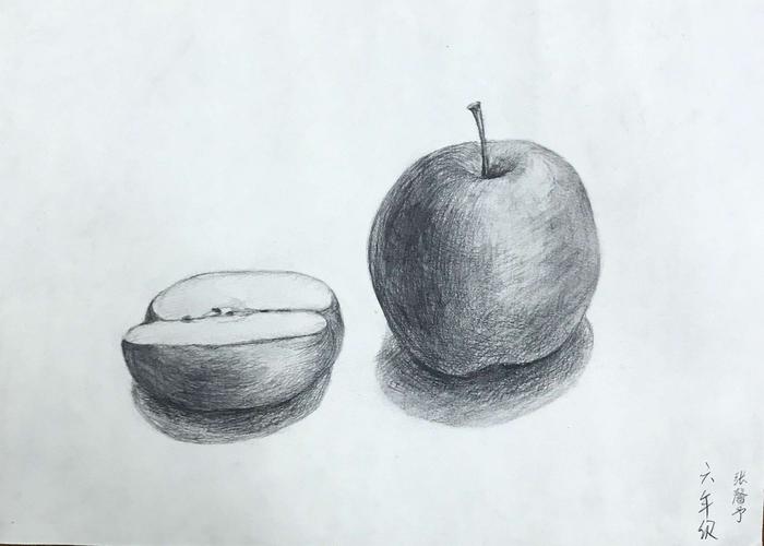 田间宝贝 小学高年级素描临摹 苹果写生练习作品(1)