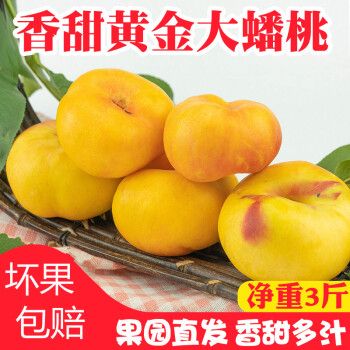 颜曼箐现摘现发陕西渭南黄金蟠桃纽扣扁桃子3斤多汁新鲜水果应季2500g