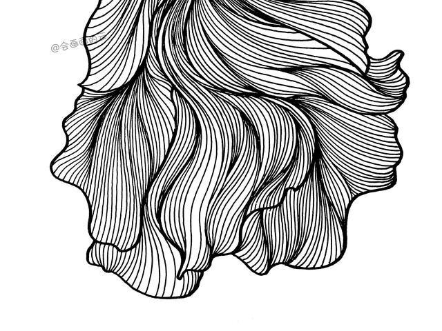 3款简笔画金鱼,零基础也可以画的线描画