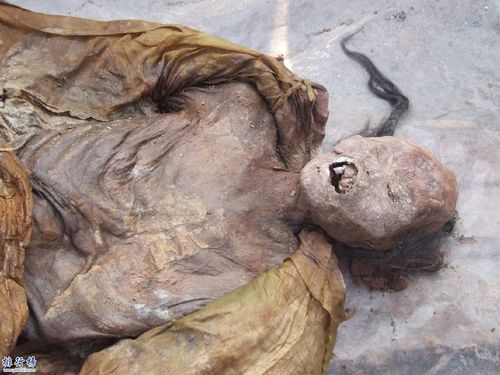 龙袍干尸:五官完整疑是顺治皇帝真身(附真实照片)