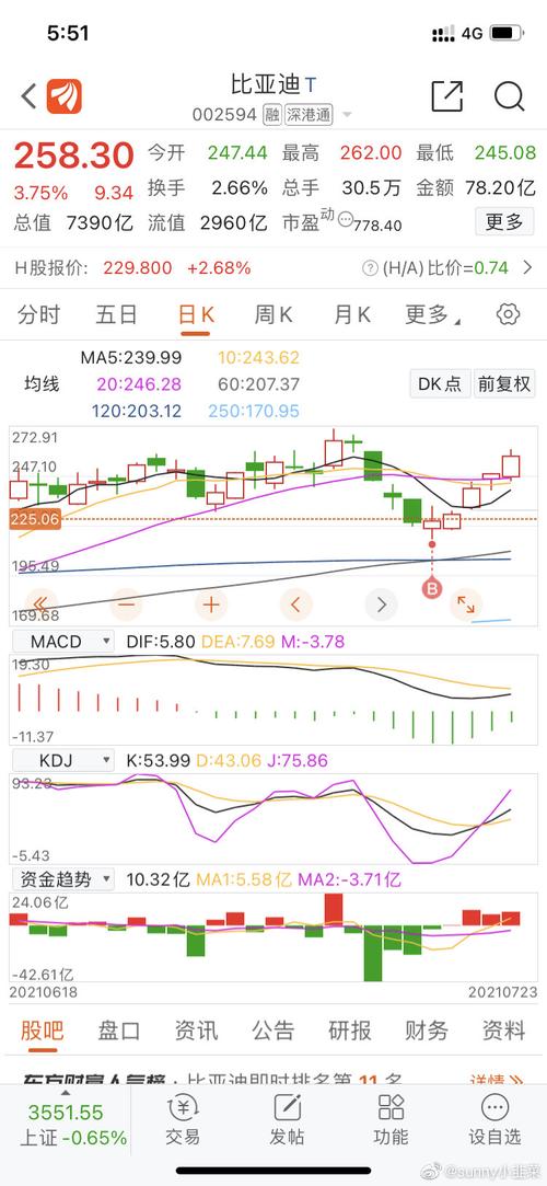 今日看盘股票比亚迪sz002