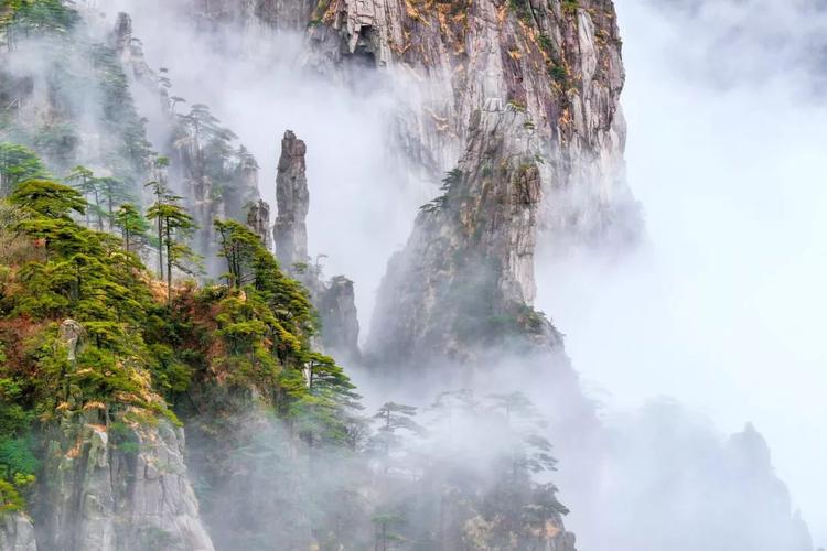 最最最新版黄山风光片,抢鲜看,为之咏颂,为之挥毫,为之赞叹,为之倾倒.