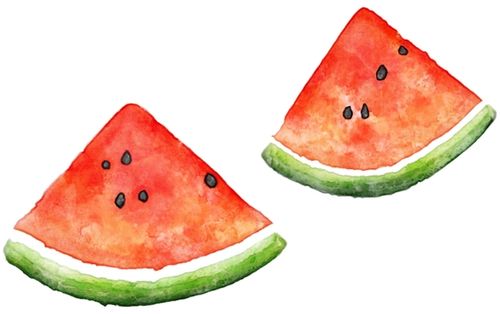 watermelon watercolor painting