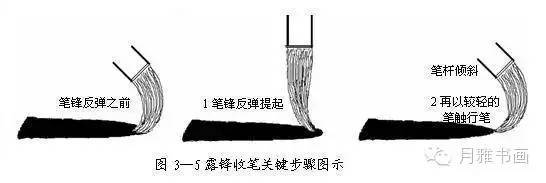 电脑上wap网:中锋,侧锋,偏锋谈线条-文化频道-手机搜狐