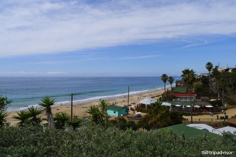 crystal cove shake shack