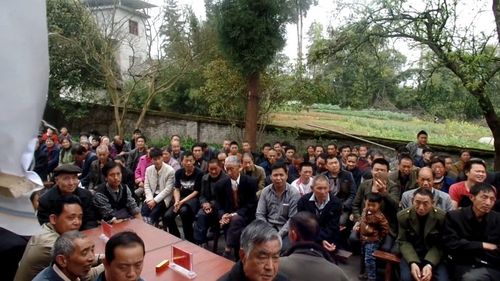 田坝杨氏宗亲联谊会照
