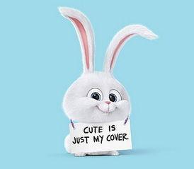 简笔画 爱宠大机密头像高清萌宠大机密兔子高清图