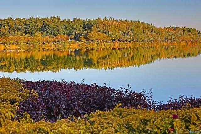 张掖甘州:芦水湾秋景如画
