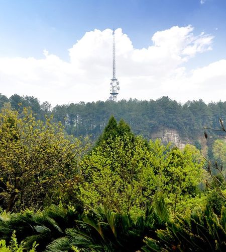 金城山森林公园