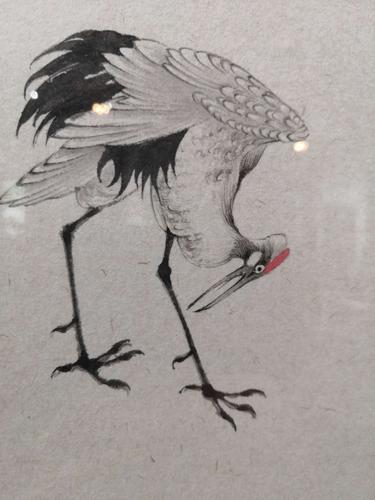 云中白鹤云外仙,朱寒光老师个展睹快.