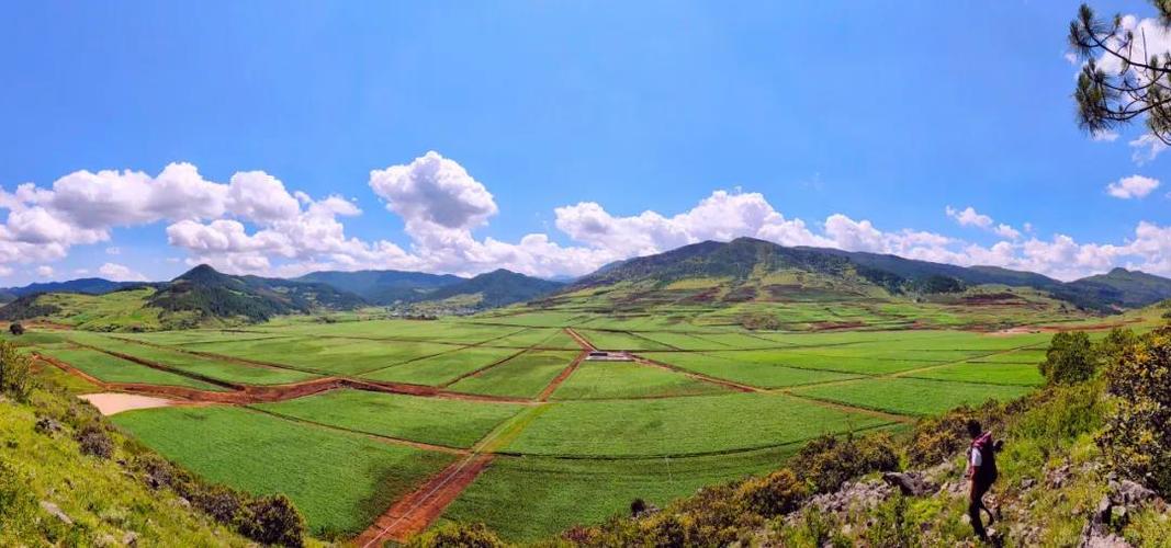 盐展开来丨温泉彝族乡立足产业谋发展蹚出乡村振兴新路子