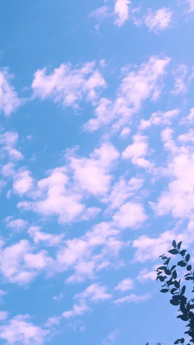 背景图好看韩版