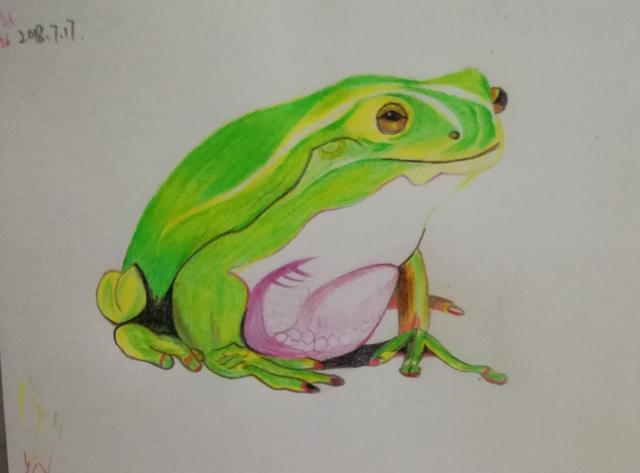 我入门之前画的彩铅画,欣赏一下吧