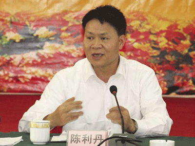 全国人大代表,广西壮族自治区民政厅厅长陈利丹