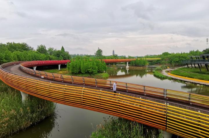 《蒙蒙细雨彩虹桥》 mr.